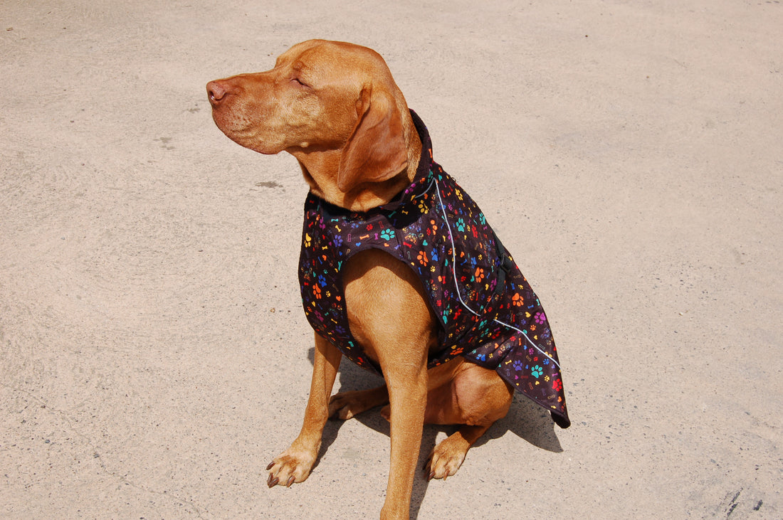 Dog Huggle Coat | Best In Show