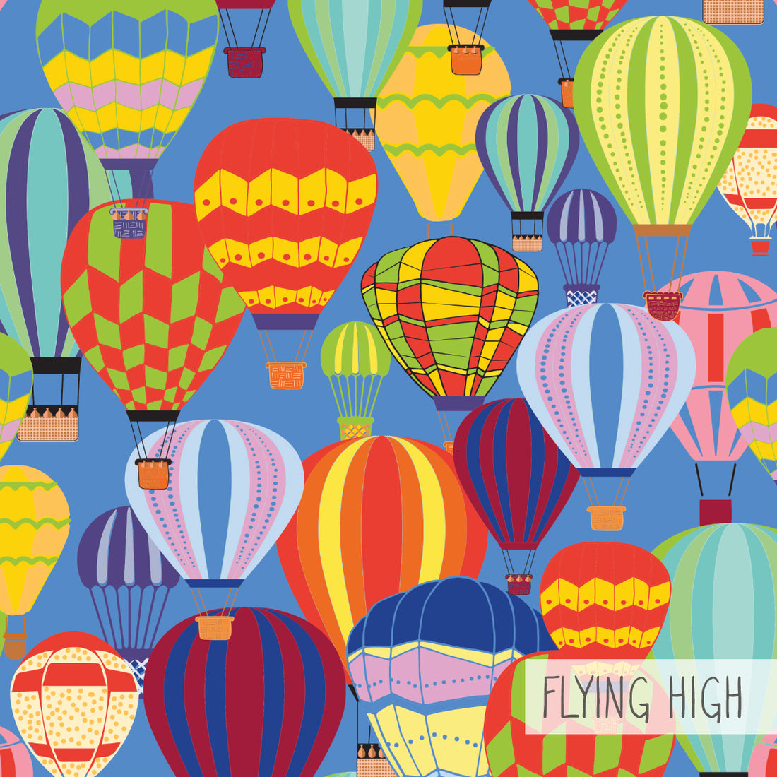 Single Layer Shorts | Flying High