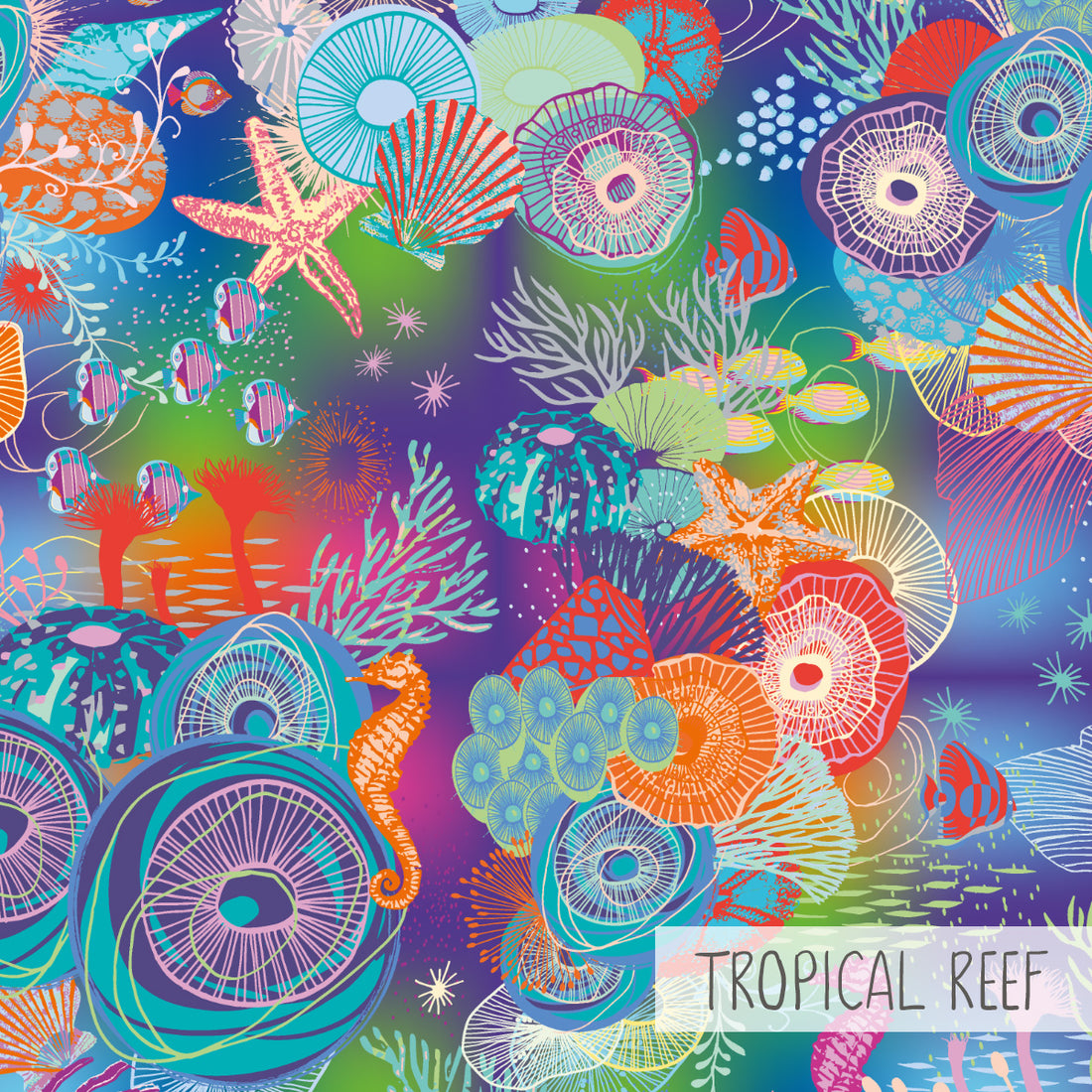 Neck Sleeve | Tropical Reef